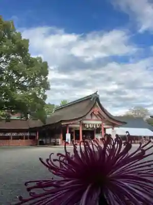 津島神社のその他建物