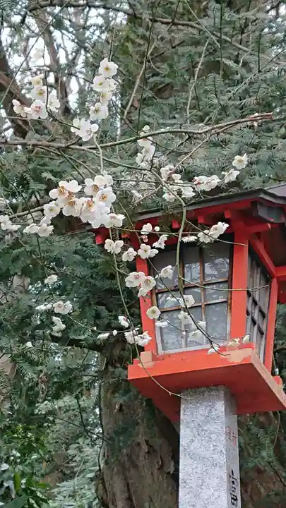 谷保天満宮のその他建物