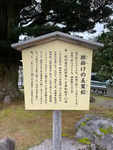 石川護國神社(石川県)