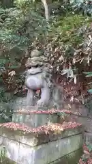 三祖神社奥宮の狛犬