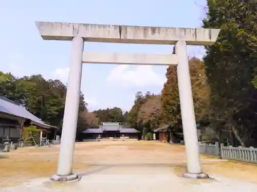 糟目春日神社の鳥居