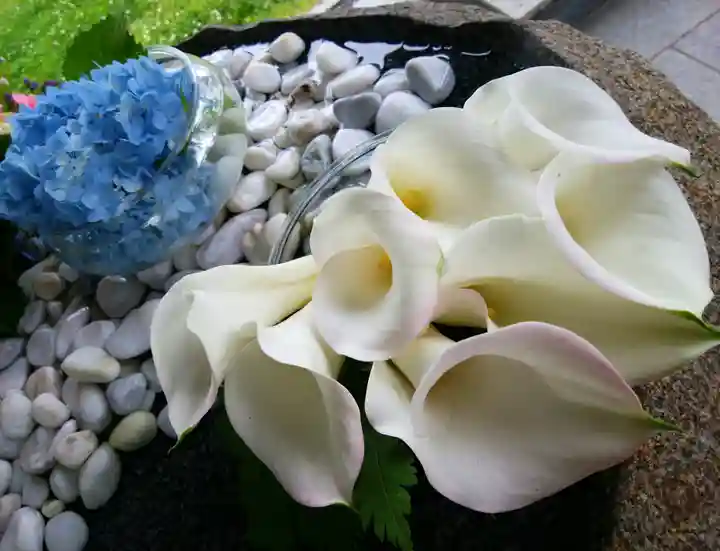 当別神社の手水舎