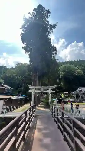 足鹿神社の{uncategorized: "未分類", other: "その他", undefined: "問題あり", building: "その他建物", grave: "お墓", sacred_gate: "鳥居", guardian: "狛犬", statue: "像", buddha: "仏像", history: "歴史", nature: "自然", garden: "庭園", animal: "動物", pagoda: "塔", temizu: "手水舎", mountain_gate: "山門・神門", sanctuary: "本殿・本堂", subordinate: "末社・摂社", art: "芸術", scenery: "景色", jizo: "地蔵", ema: "絵馬", goshuin: "御朱印", omikuji: "おみくじ", items: "授与品その他", amulet: "お守り", goshuincho: "御朱印帳", eats: "食事", festival: "お祭り", votive_dance: "神楽", shichigosan: "七五三参", wedding: "結婚式", experience: "体験その他", initially: "初詣", around: "周辺", anti_infection: "感染症対策"}