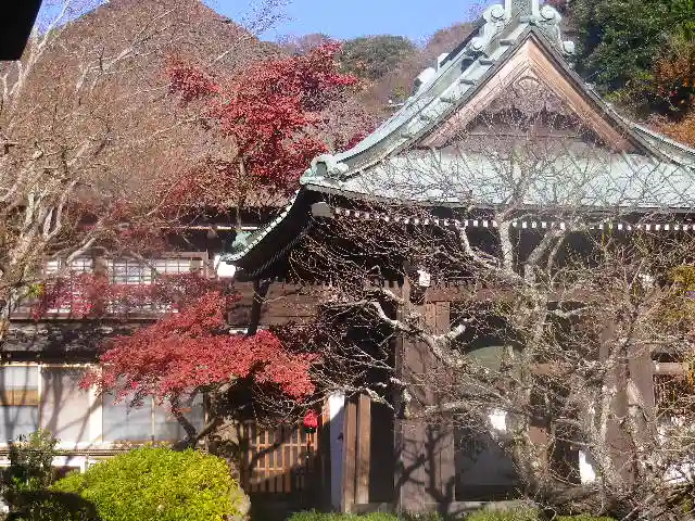 海蔵寺の本殿・本堂