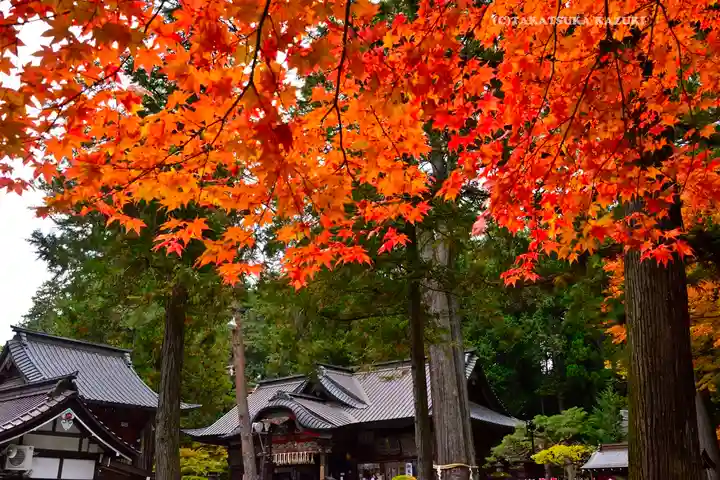 北口本宮冨士浅間神社(山梨県)