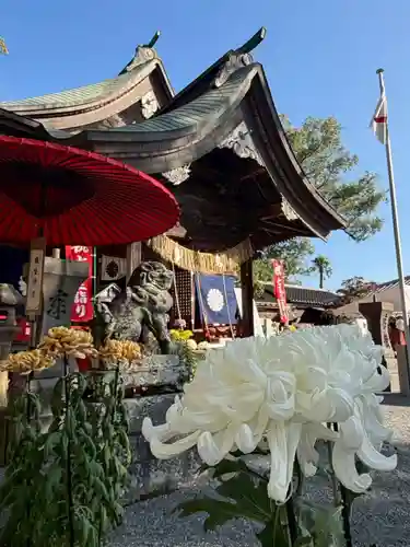 美奈宜神社(福岡県)