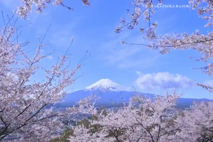 新倉富士浅間神社(山梨県)