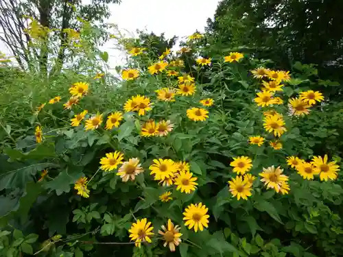 津別神社(北海道)