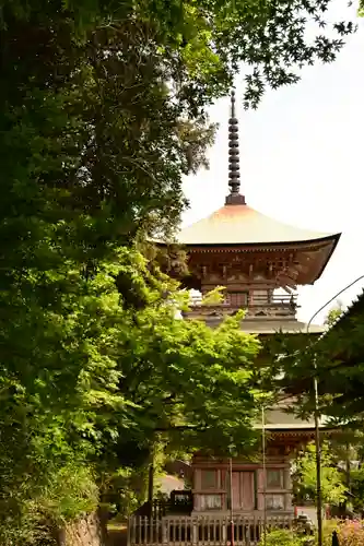 岩殿山安楽寺（吉見観音）(埼玉県)