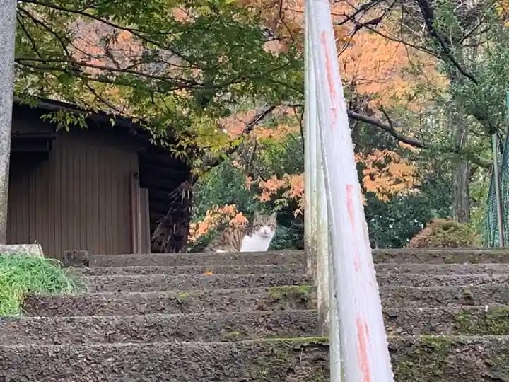 二柱神社 (筑波山神社)の動物