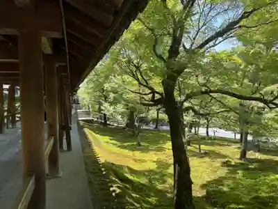 東福禅寺(東福寺)(京都府)