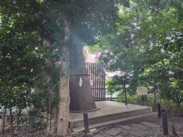 鎮守氷川神社の体験その他