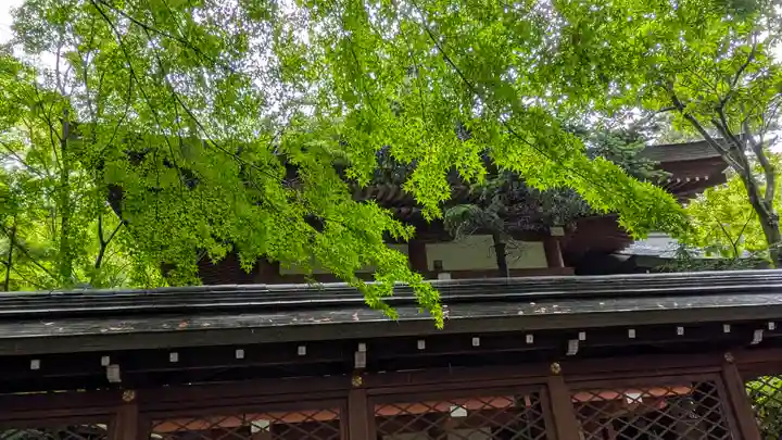 御霊神社(上御霊神社)(京都府)