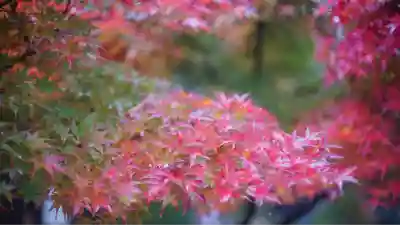 北野天満宮(京都府)
