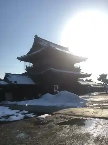 大通寺（長浜御坊）の山門・神門
