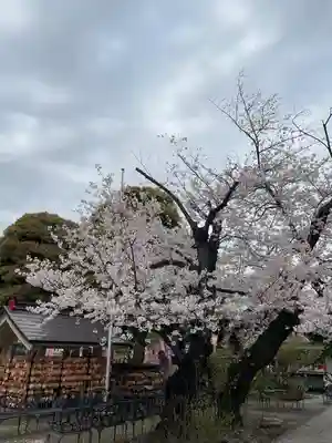 今戸神社(東京都)
