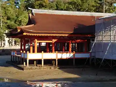 厳島神社(広島県)