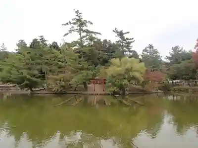 厳島神社（東大寺境内社）の庭園