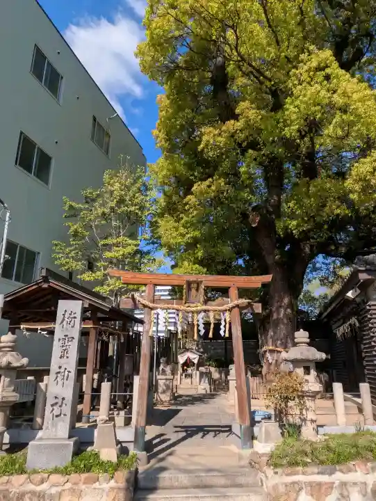楠霊神社の{uncategorized: "未分類", other: "その他", undefined: "問題あり", building: "その他建物", grave: "お墓", sacred_gate: "鳥居", guardian: "狛犬", statue: "像", buddha: "仏像", history: "歴史", nature: "自然", garden: "庭園", animal: "動物", pagoda: "塔", temizu: "手水舎", mountain_gate: "山門・神門", sanctuary: "本殿・本堂", subordinate: "末社・摂社", art: "芸術", scenery: "景色", jizo: "地蔵", ema: "絵馬", goshuin: "御朱印", omikuji: "おみくじ", items: "授与品その他", amulet: "お守り", goshuincho: "御朱印帳", eats: "食事", festival: "お祭り", votive_dance: "神楽", shichigosan: "七五三参", wedding: "結婚式", experience: "体験その他", initially: "初詣", around: "周辺", anti_infection: "感染症対策"}