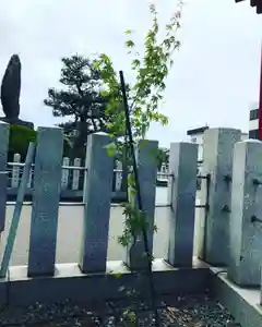 總社 和田八幡宮(福井県)(2022年05月18日(水) 18時00分16秒投稿)