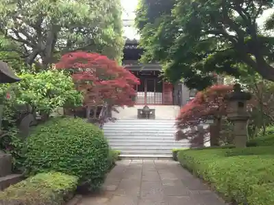 金剛寺の本殿・本堂