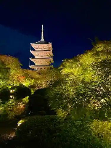 東寺（教王護国寺）(京都府)