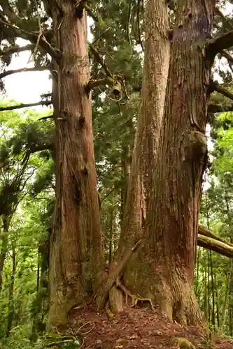 白山中居神社(岐阜県)
