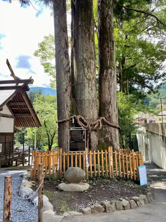奥氷川神社の自然