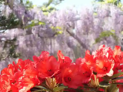 三大神社のその他建物
