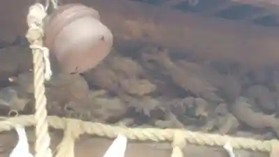 八雲氷川神社の芸術