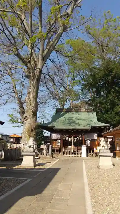 守谷総鎮守 八坂神社(茨城県)
