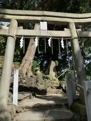 多摩川浅間神社の鳥居