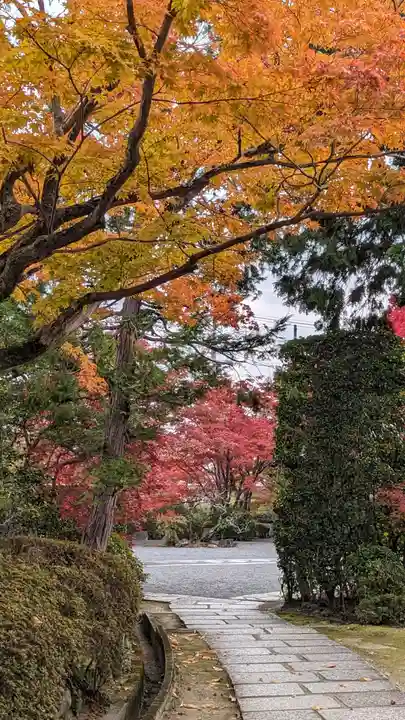 神光院(京都府)