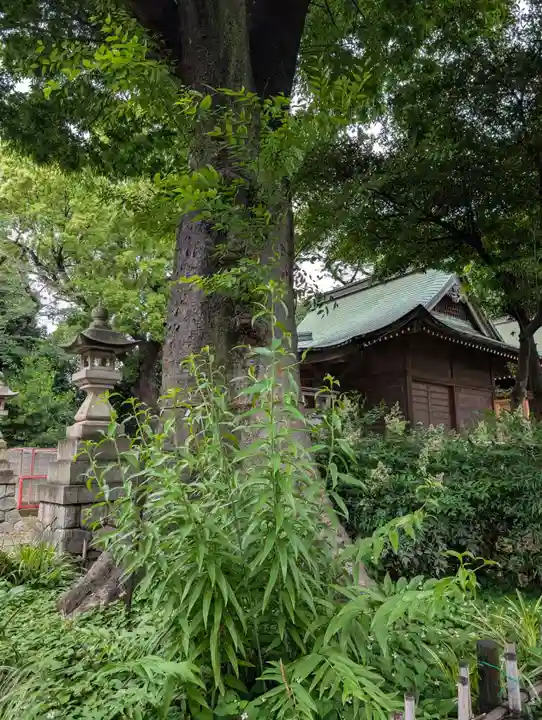 白幡八幡神社(神奈川県)
