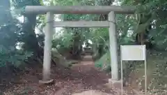 椿神社の鳥居