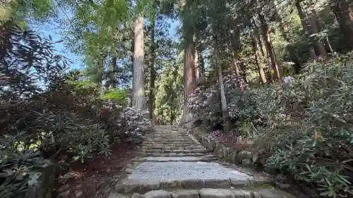 室生寺奥の院の{uncategorized: "未分類", other: "その他", undefined: "問題あり", building: "その他建物", grave: "お墓", sacred_gate: "鳥居", guardian: "狛犬", statue: "像", buddha: "仏像", history: "歴史", nature: "自然", garden: "庭園", animal: "動物", pagoda: "塔", temizu: "手水舎", mountain_gate: "山門・神門", sanctuary: "本殿・本堂", subordinate: "末社・摂社", art: "芸術", scenery: "景色", jizo: "地蔵", ema: "絵馬", goshuin: "御朱印", omikuji: "おみくじ", items: "授与品その他", amulet: "お守り", goshuincho: "御朱印帳", eats: "食事", festival: "お祭り", votive_dance: "神楽", shichigosan: "七五三参", wedding: "結婚式", experience: "体験その他", initially: "初詣", around: "周辺", anti_infection: "感染症対策"}