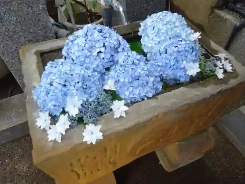 菊名神社の手水舎