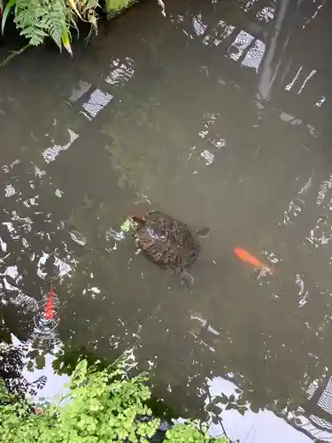 成田山七島不動尊(神奈川県)