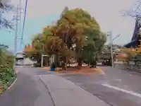 貴船社(大和町氏永)の自然