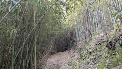 愛宕神社の自然