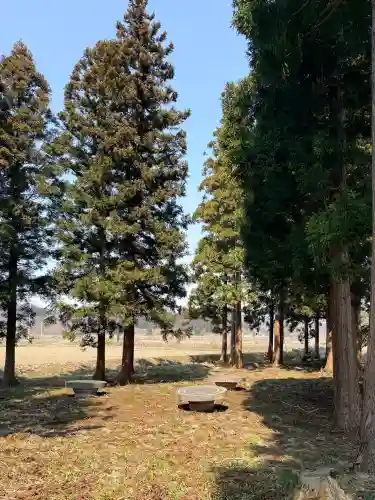 禅燈寺の{uncategorized: "未分類", other: "その他", undefined: "問題あり", building: "その他建物", grave: "お墓", sacred_gate: "鳥居", guardian: "狛犬", statue: "像", buddha: "仏像", history: "歴史", nature: "自然", garden: "庭園", animal: "動物", pagoda: "塔", temizu: "手水舎", mountain_gate: "山門・神門", sanctuary: "本殿・本堂", subordinate: "末社・摂社", art: "芸術", scenery: "景色", jizo: "地蔵", ema: "絵馬", goshuin: "御朱印", omikuji: "おみくじ", items: "授与品その他", amulet: "お守り", goshuincho: "御朱印帳", eats: "食事", festival: "お祭り", votive_dance: "神楽", shichigosan: "七五三参", wedding: "結婚式", experience: "体験その他", initially: "初詣", around: "周辺", anti_infection: "感染症対策"}