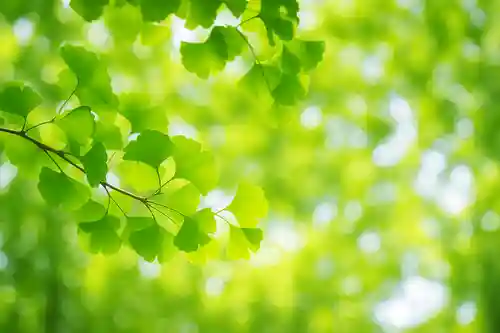 木舟山　順教寺(広島県)