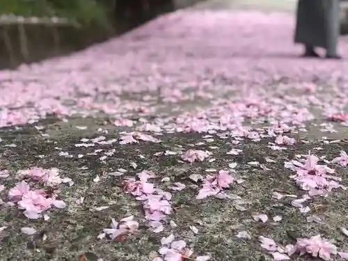 木舟山　順教寺の自然