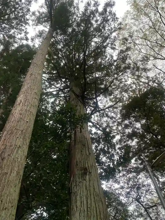 成田熊野神社の{uncategorized: "未分類", other: "その他", undefined: "問題あり", building: "その他建物", grave: "お墓", sacred_gate: "鳥居", guardian: "狛犬", statue: "像", buddha: "仏像", history: "歴史", nature: "自然", garden: "庭園", animal: "動物", pagoda: "塔", temizu: "手水舎", mountain_gate: "山門・神門", sanctuary: "本殿・本堂", subordinate: "末社・摂社", art: "芸術", scenery: "景色", jizo: "地蔵", ema: "絵馬", goshuin: "御朱印", omikuji: "おみくじ", items: "授与品その他", amulet: "お守り", goshuincho: "御朱印帳", eats: "食事", festival: "お祭り", votive_dance: "神楽", shichigosan: "七五三参", wedding: "結婚式", experience: "体験その他", initially: "初詣", around: "周辺", anti_infection: "感染症対策"}