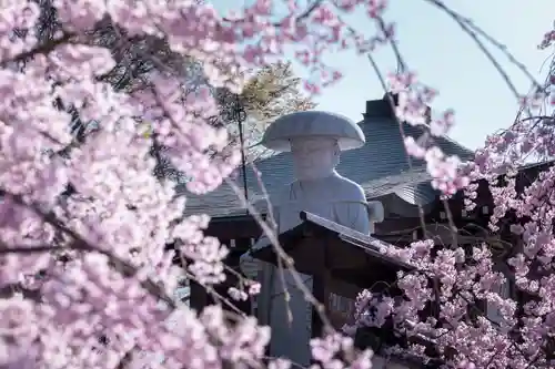 岡寺（龍蓋寺）の自然