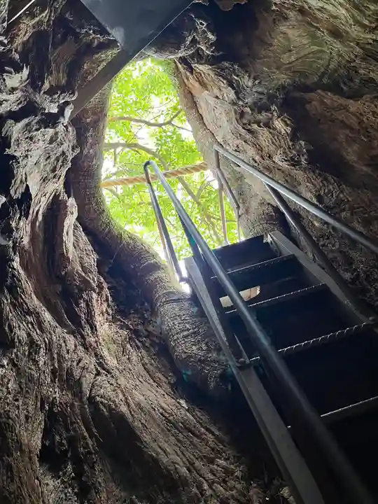 熊野那智大社(和歌山県)