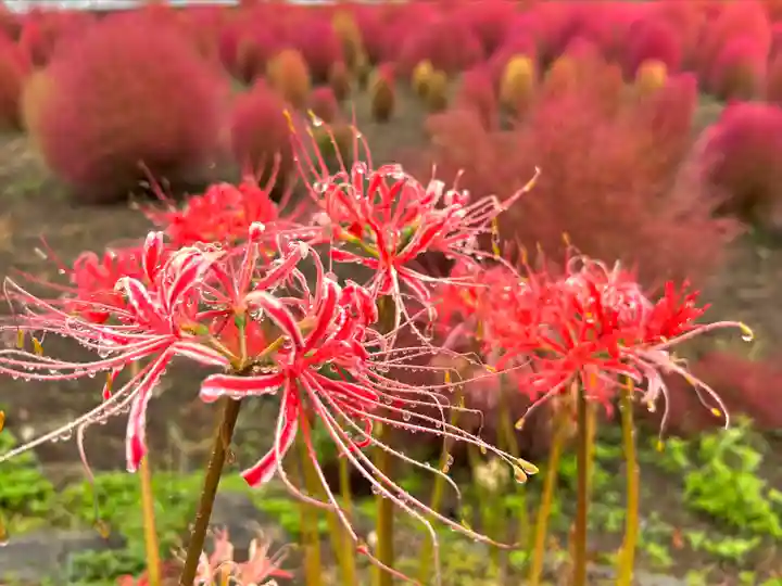 遠照寺(山梨県)
