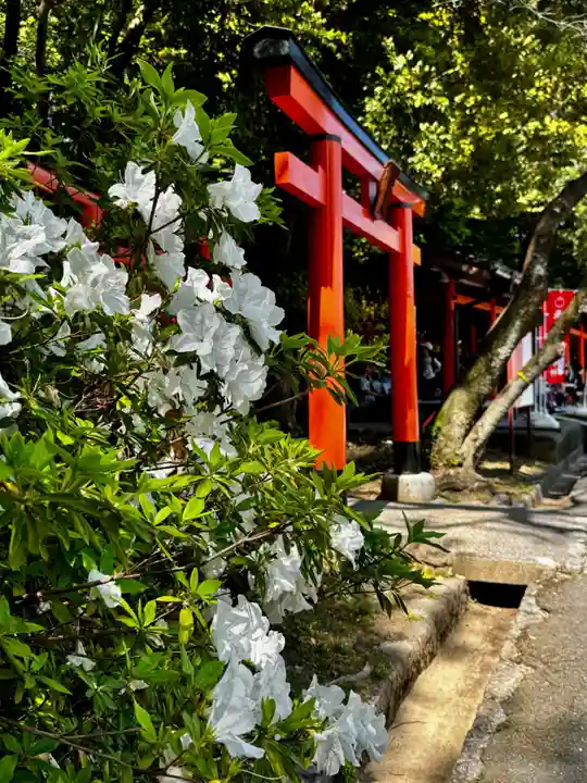 長山稲荷社(橿原神宮末社)(奈良県)