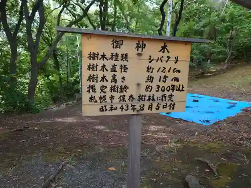 相馬神社の自然