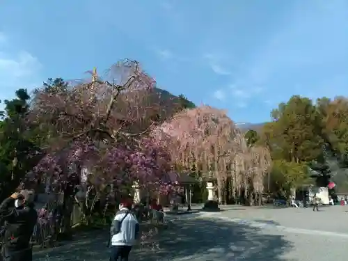 久遠寺のその他建物